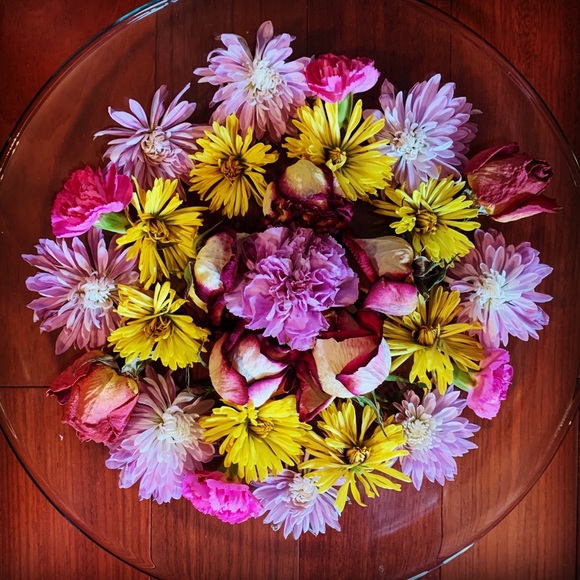 Meet your Posher, Sassy Lil Hippie - Picture 3 of 4